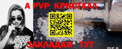 стафф Дубна