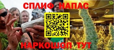 стафф Дубна