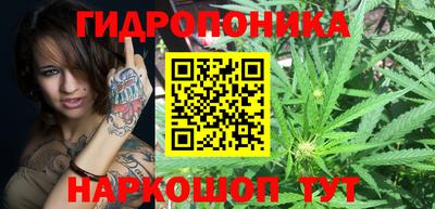 МДПВ Гусев